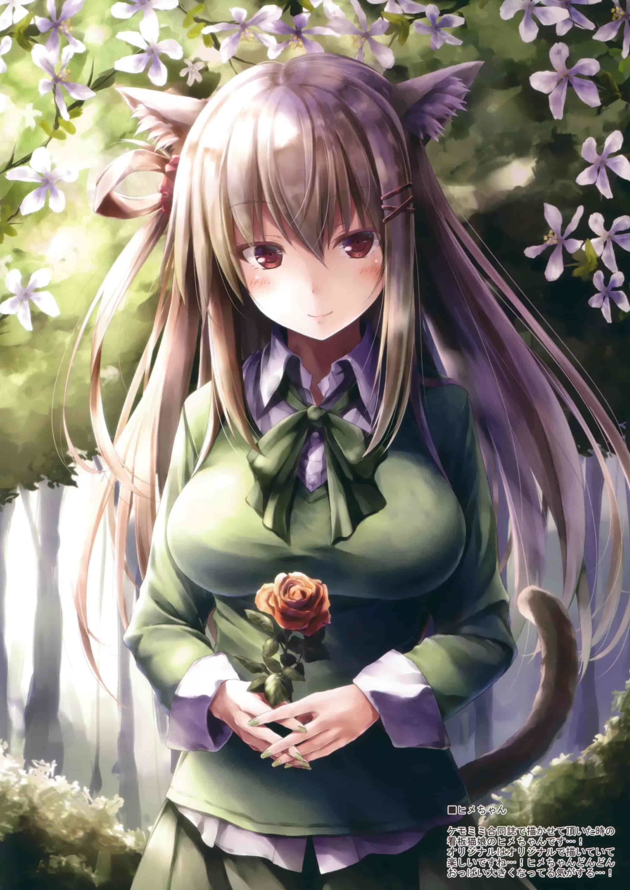 翠苑 (翠燕)WALNUT78 8th 舰娘同人画集[13P]