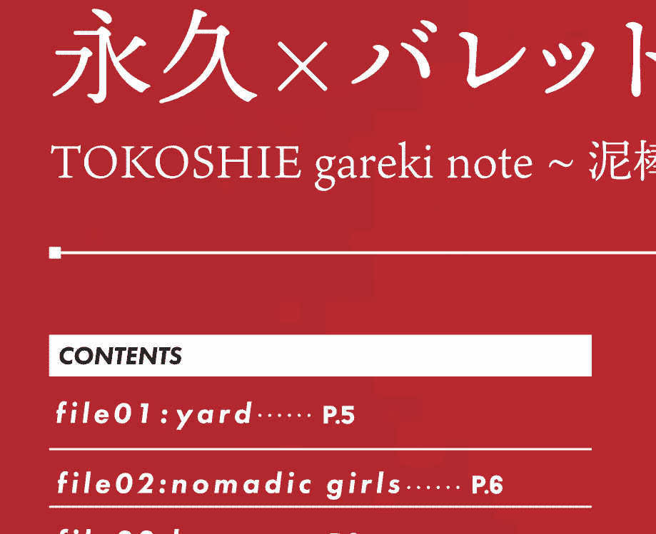 モリオン航空 (モグモ、HISADAKE)]TOKOSHIE gareki note ～泥棒ヴィレッジの少女～[11P]