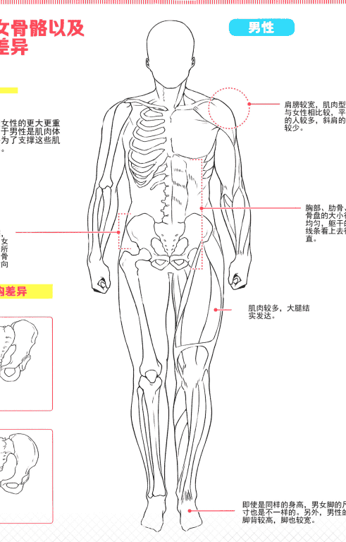 稍带H的女孩子的画法[148P]