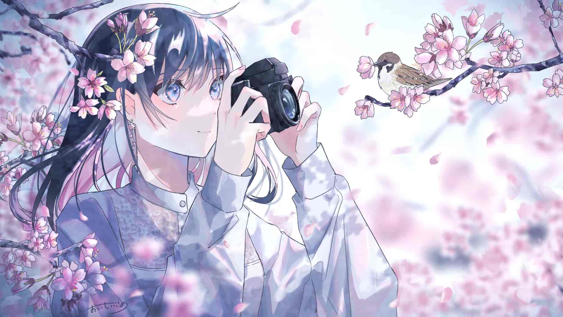 おいしいさめ(sutera_sea)Pixiv+推特图片包[324P]