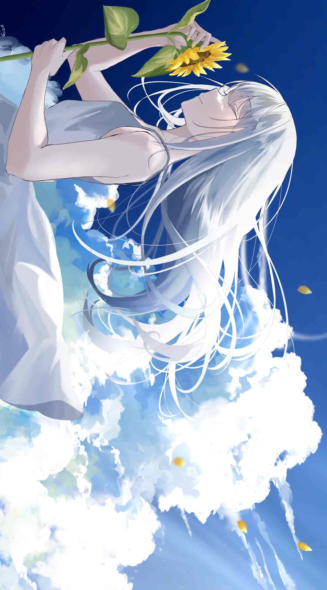 おいしいさめ(sutera_sea)Pixiv+推特图片包[324P]