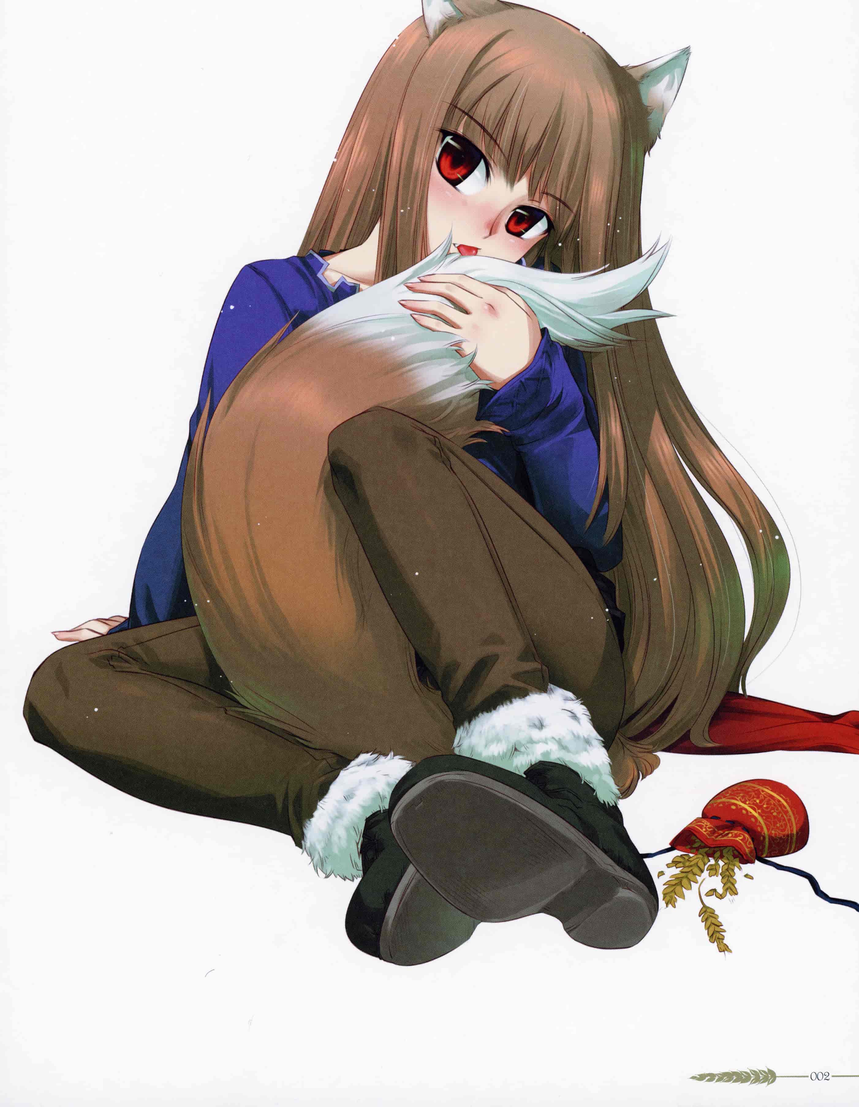 小梅けいと狼と香辛料～十年目の林檎酒～[134P]