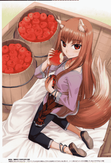 小梅けいと狼と香辛料 画集 ～狼と麦と林檎の風景～[16P]