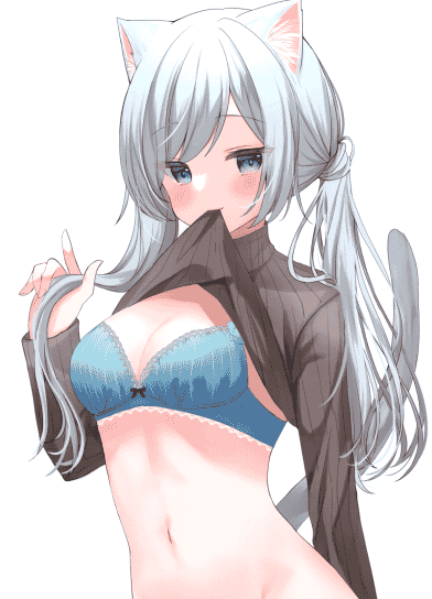 OMOCHI BOX (はみこ)KEMOMIMI 2[22P]