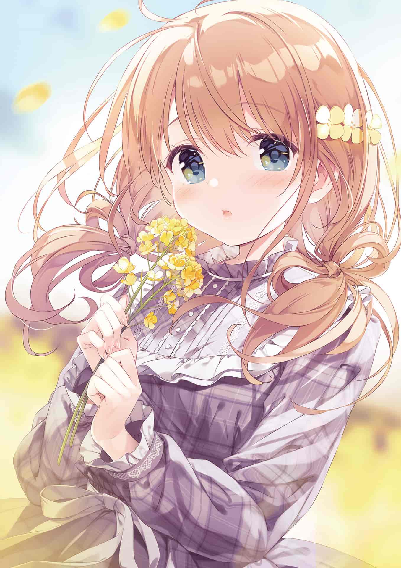 きみしま青画集 Bloomin'[111P]