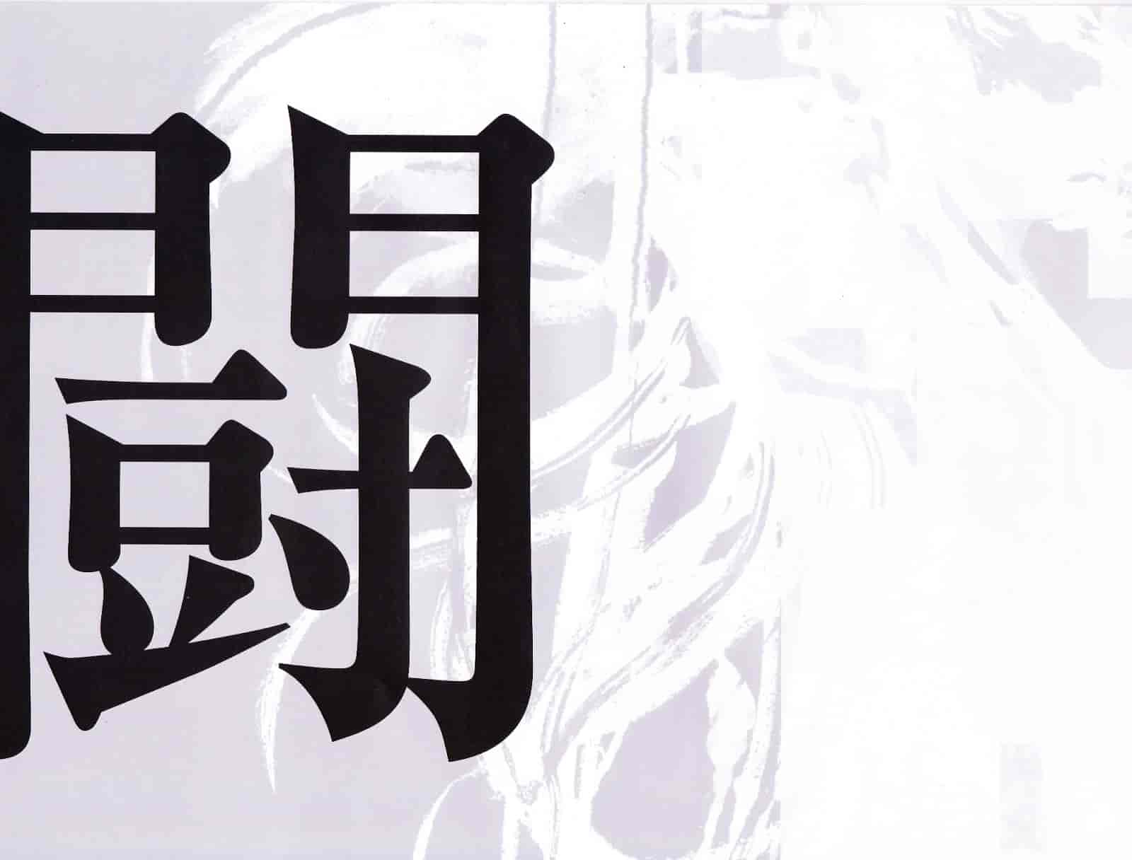 Metal Gear Rising Revengeance Artbook[26P]